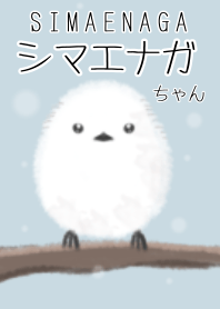 シマエナガちゃん