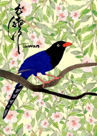 I Love Formosan Blue Magpie(2)