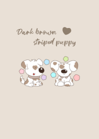 Dark brown striped puppy2