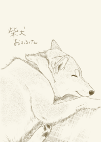 柴犬おてふさん(お昼寝)手描きスケッチ風