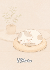Cozy Lazy Cat: Aihara