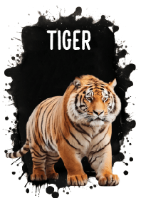 Cute Tiger Cool Theme