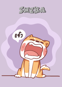 แจ๋ว ใครไม่บะ ชิบะ 4 V16