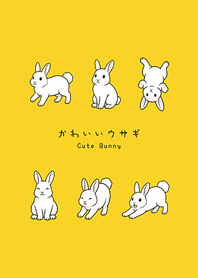 我養的可愛小白兔(蛋黃色)
