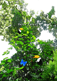 Happy Forest -Toucan and Morpho-