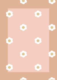 daisy flower peach orange