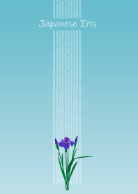 May birth flower,Japanese Iris