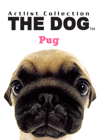 THE DOG Pug