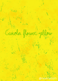 Canola flower yellow