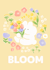rabbit sometimes carrot flowers bloom