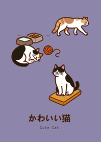 แมวของฉัน(สีม่วงโมรันดี)