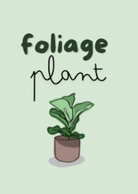 Foliage plant.