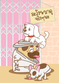 ระวังหมาดุ จริงๆนะ