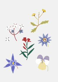 Spring comes, flowers bloom