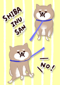 SHIBAINU-SAN : NO!