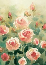 Beautiful rose flower(R4483)