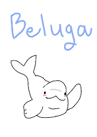 baleia beluga