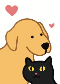 Dog and cat couple