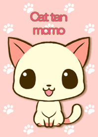 Cat tan momo