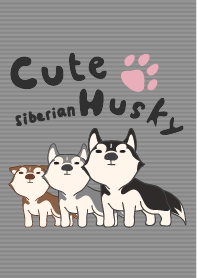 Cute Siberian Husky (JP)