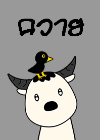 ควายเผือก