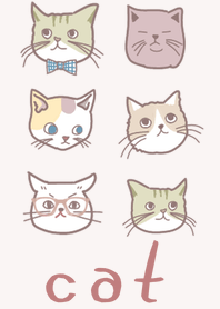 Many cats face Theme