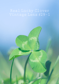 Real Lucky Clover Vintage L...