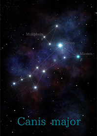 constellation <Canis major>