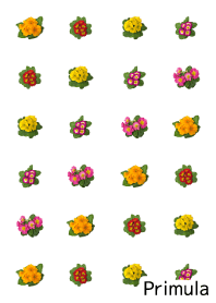 A lot of primula