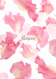 Sweet pea, full of clarity.5