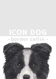 ICON DOG - Border Collie - GRAY/05