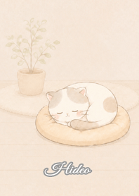Cozy Lazy Cat: Hideo