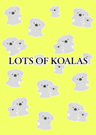 LOTS OF KOALAS-LIME YELLOW