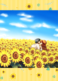 Summer, blue sky, sunflower field.