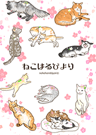 Cherry blossoms and cats