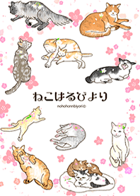 ดอกเชอร์รี่และแมว