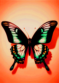 Simple beauty spread wings butterfly 8