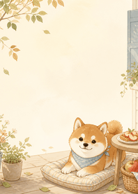 Sienna Shiba Apple Waffle Porch