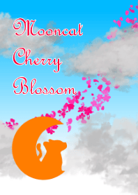 Moon cat cherry blossom