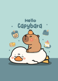ฮัลโหล คาปิบาร่าเองจ้า :)