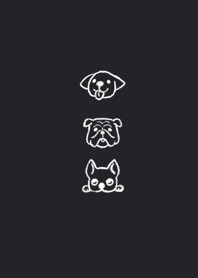 Dog Dog kyy