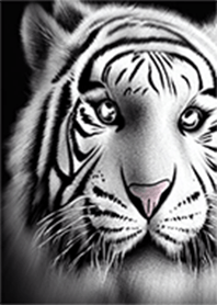 Tigre branco
