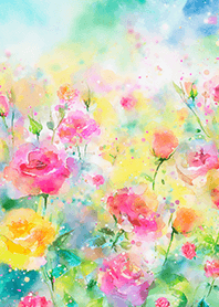 Beautiful rose flower(R5209)