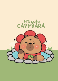 Capybara it's Cute.