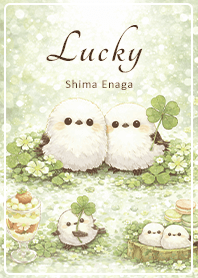 Brown Lucky Shima Enaga