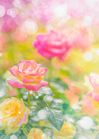 Beautiful rose flower(R2999)