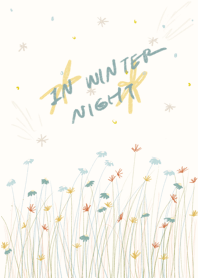 In Winter Night
