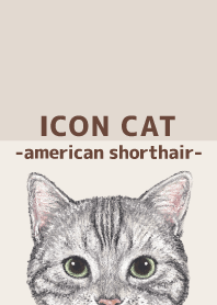ICON CAT - American Shorthair - BROWN/01