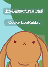 上から目線のたれ耳うさぎ