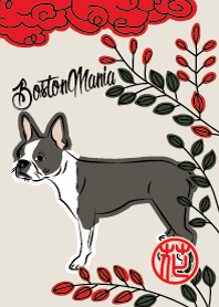 BostonMania HANA